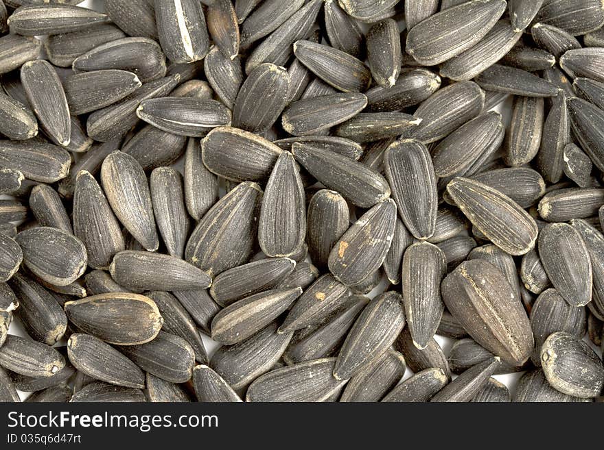 Close up sunflower seeds