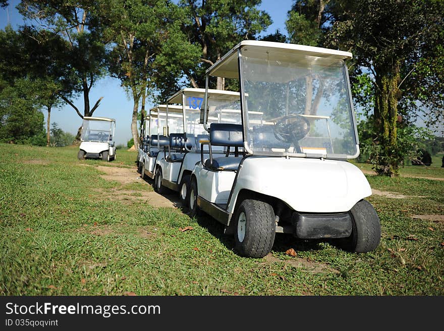 A row of golf buggy in golf club.