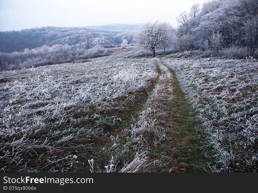 Footpath in field, winter conditions. Footpath in field, winter conditions.