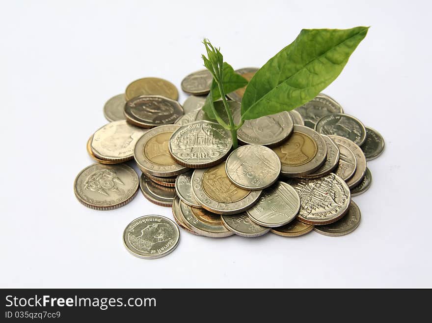 Plant in coins