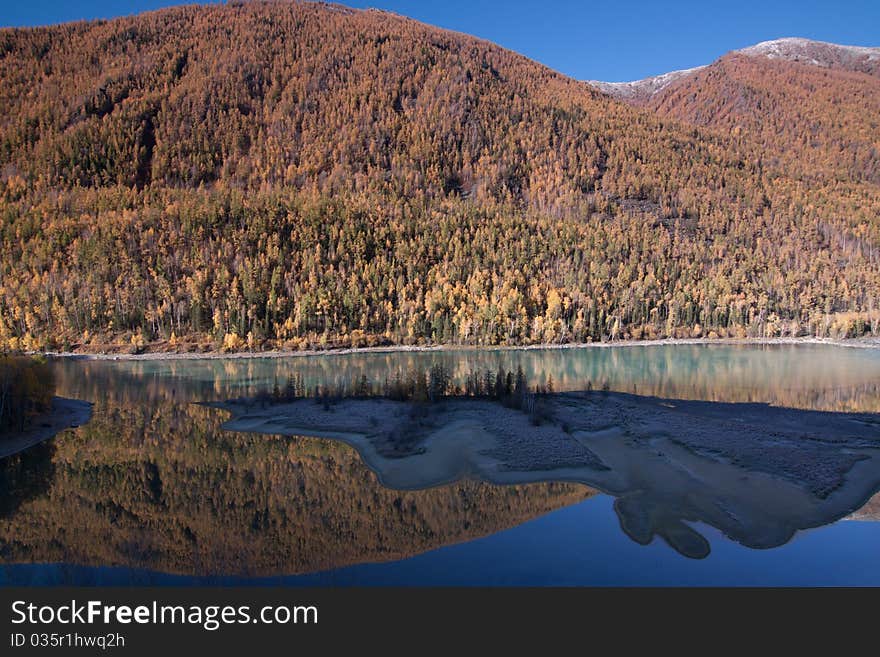 Colorful autumn of Kanas, Xinjiang