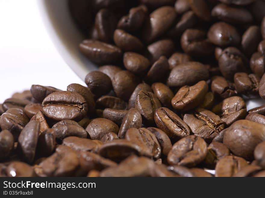 Coffee Beans