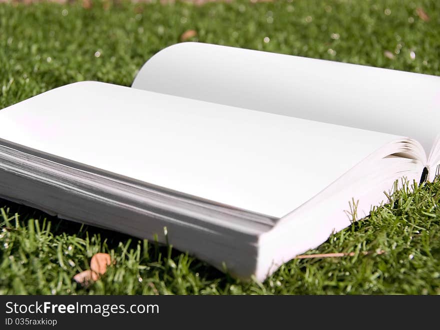 An open book with blank white pages laying in the grass. An open book with blank white pages laying in the grass.