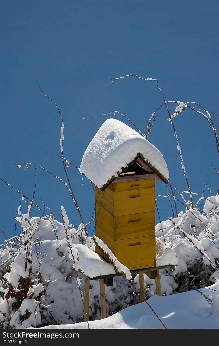 Bee House