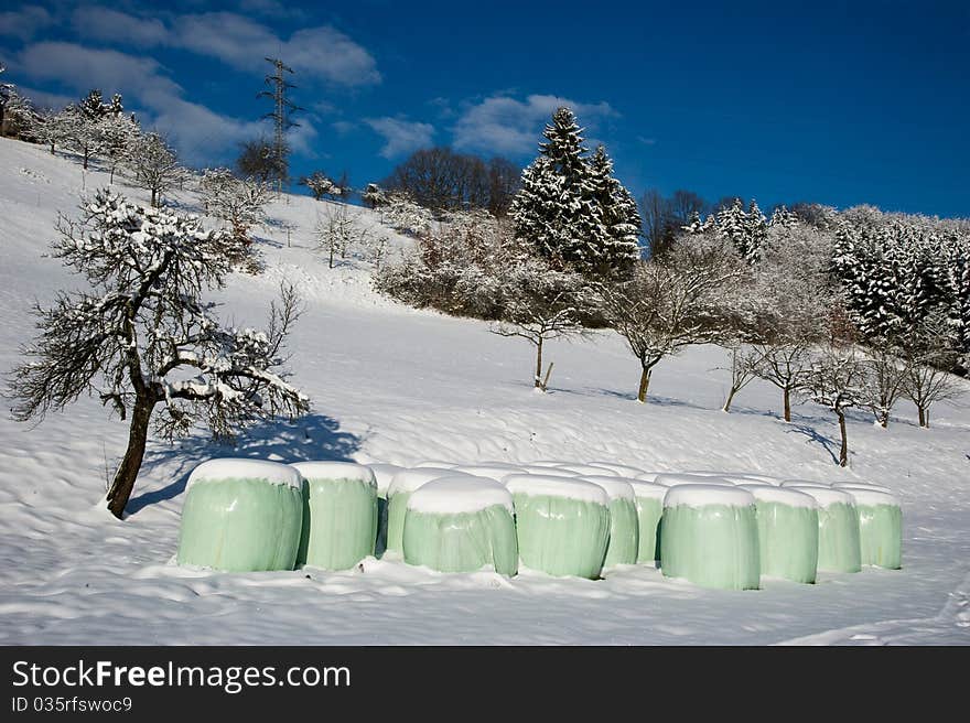 Silage Bag