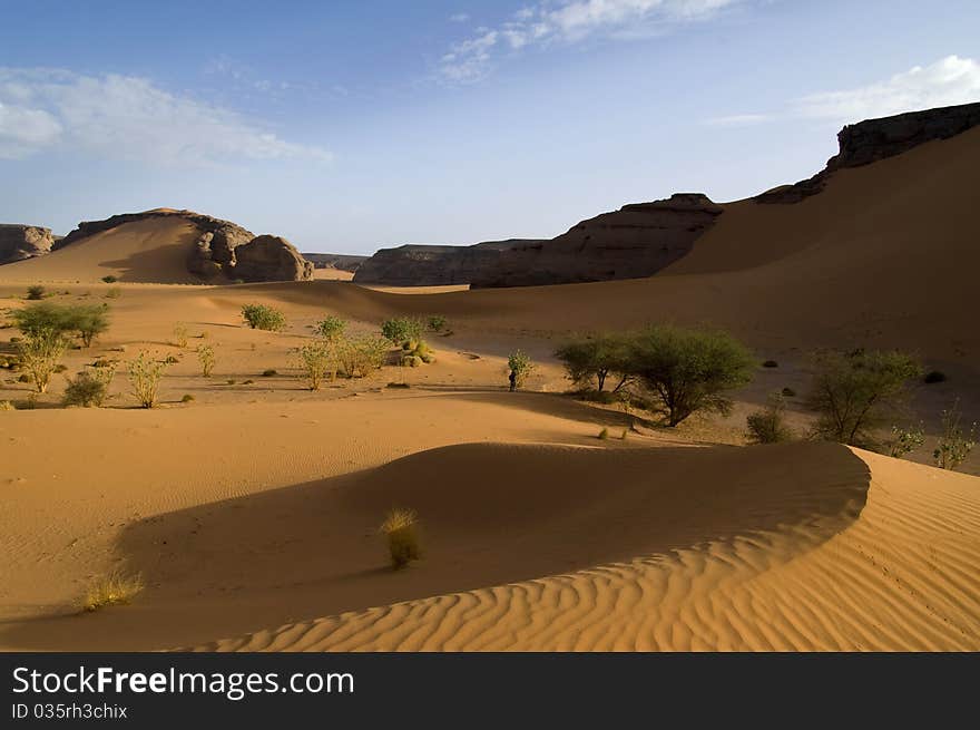 Canyon In Desert