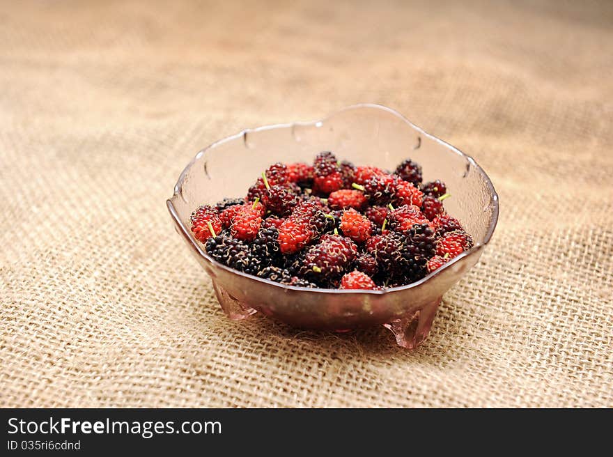 Mulberry Fruit