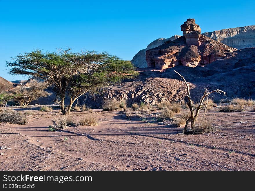 The shot was taken in Timna park - a famous geological park in Israel. The shot was taken in Timna park - a famous geological park in Israel