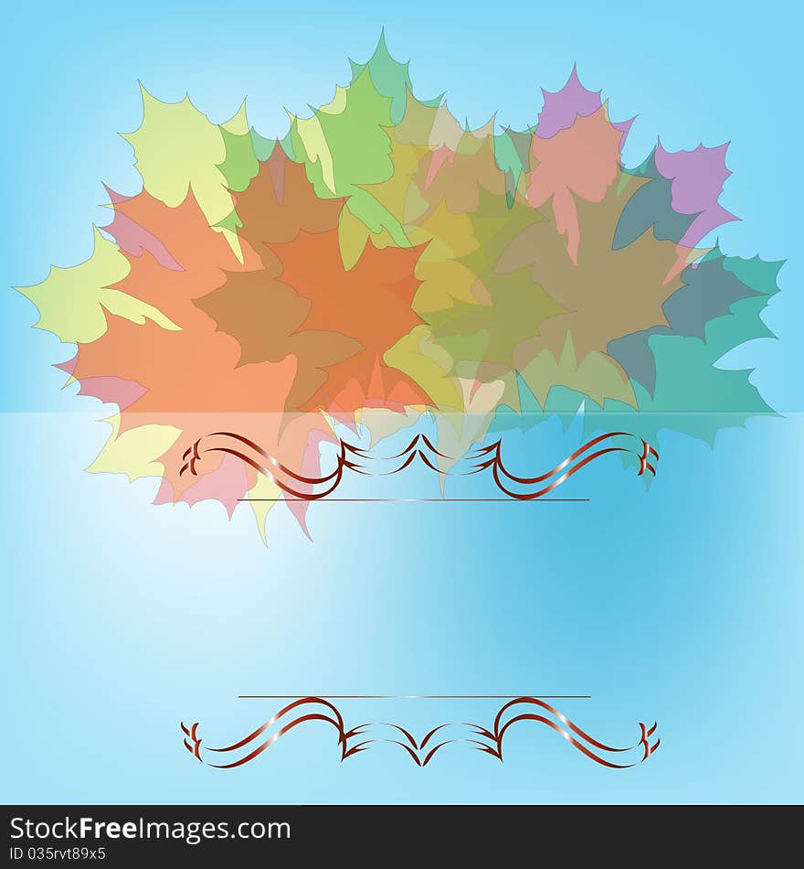 Maple leaves