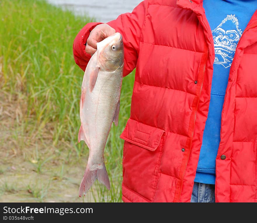 Fish in hand