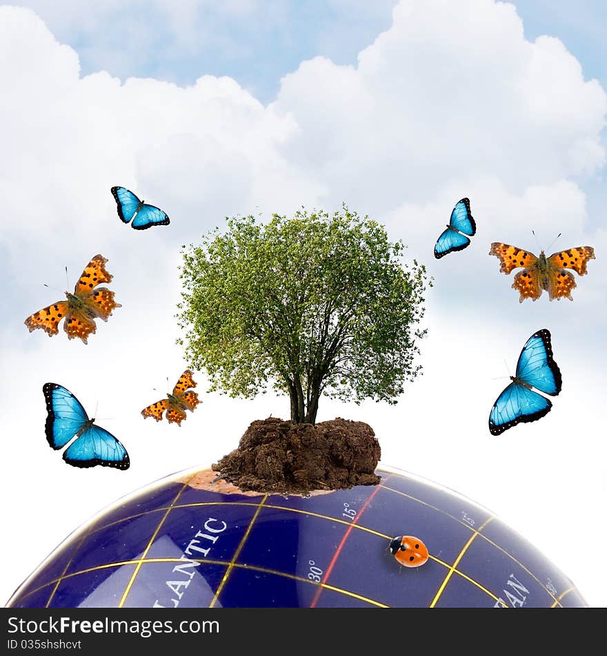 Tree growing from the earth and butterflies on a white background