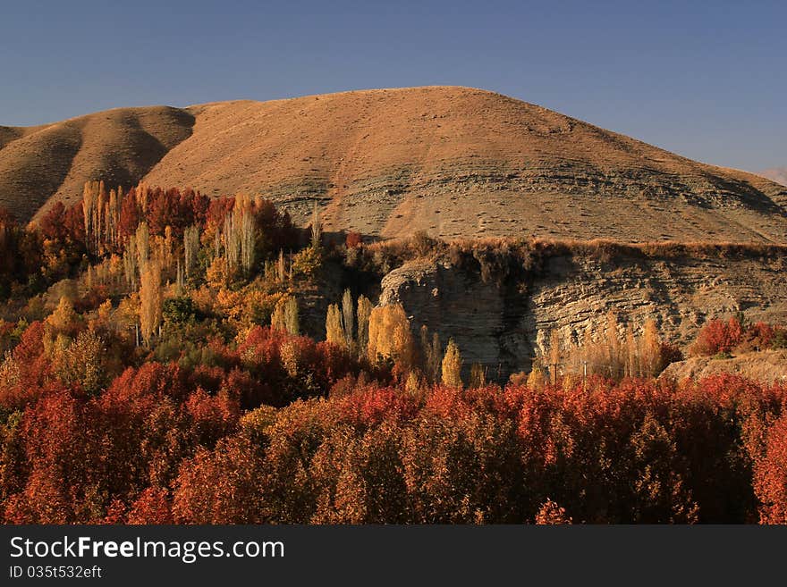 A colorful landscape of Autumn in mountain. A colorful landscape of Autumn in mountain