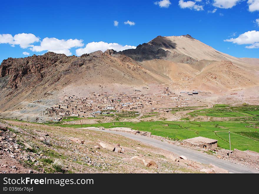 Exotic Ladakh locale