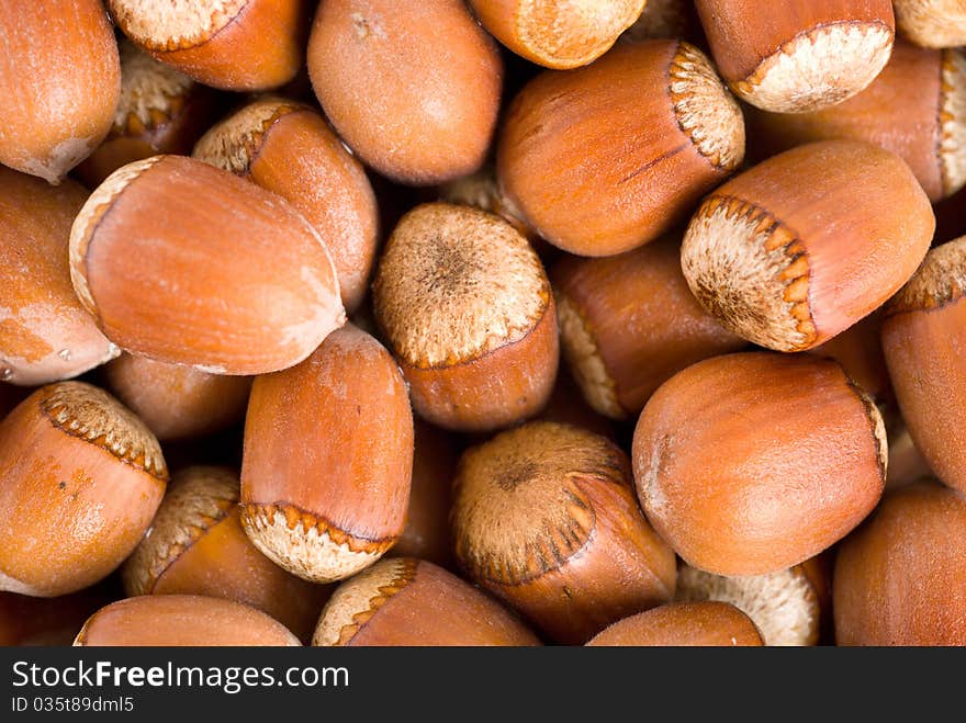 Large group of forest ripe nuts. Background. Large group of forest ripe nuts. Background