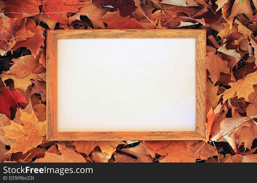 Wooden frame on the leaves with empty  white space, free space