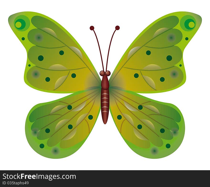 Butterfly Isolated.  EPS10 Vector