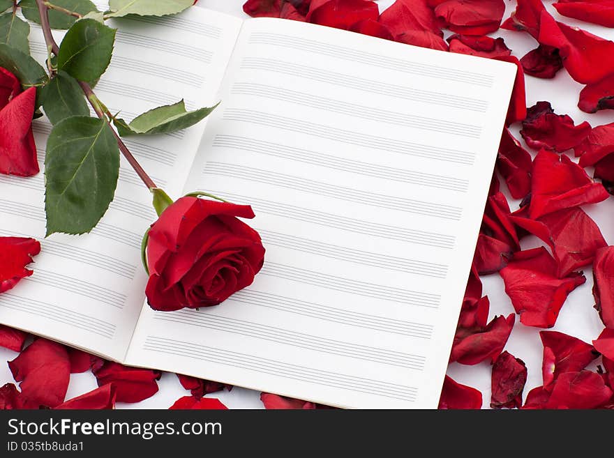 Red rose on the note sheet