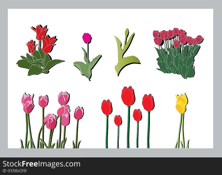 Tulips silhouettes set