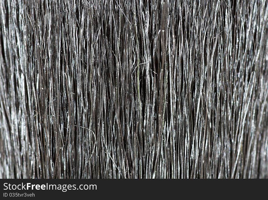 Brush Fiber Texture