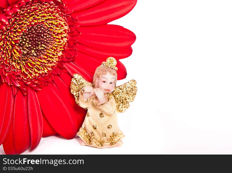 Angel and red flower across white. Angel and red flower across white