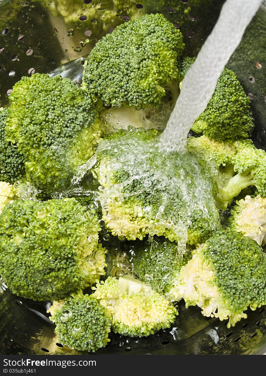 Washing Broccoli with cold water