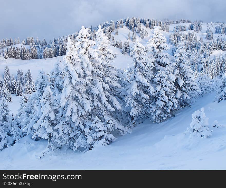 Winter in the alps