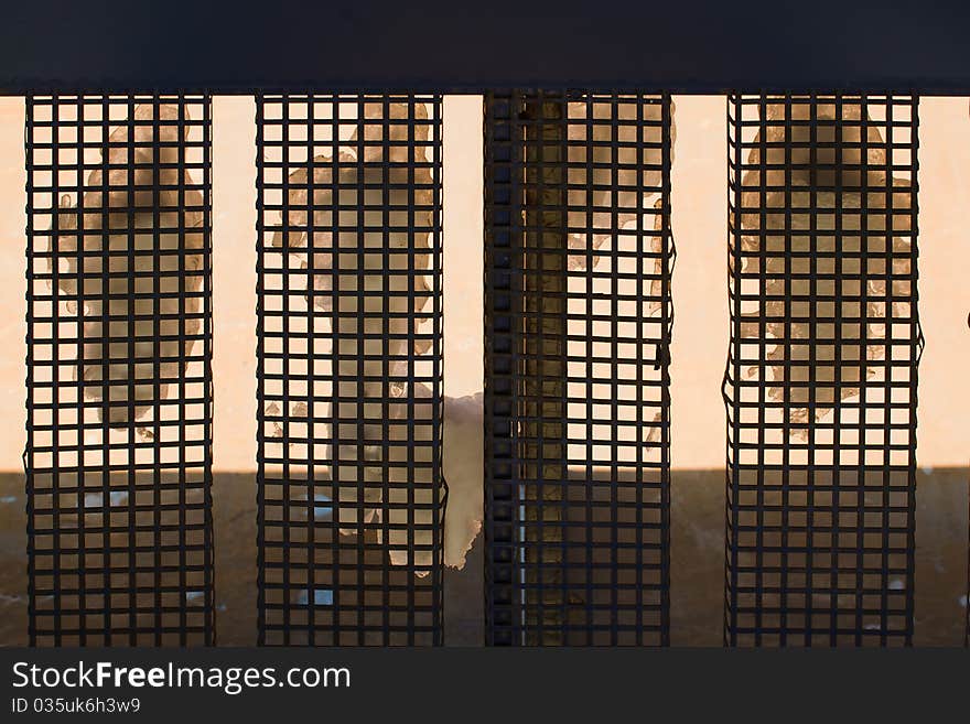 Architectural details: abstract lattice on wall of building