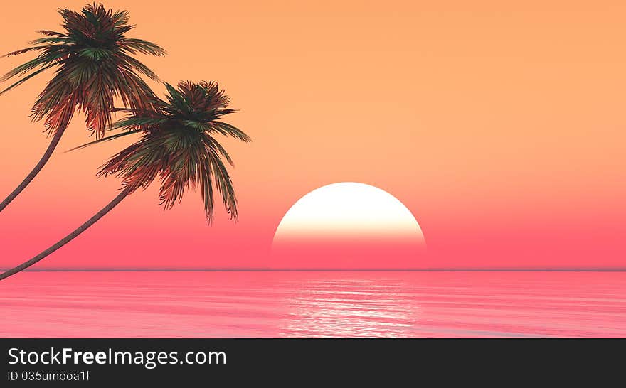 Dead tree at sunset beach