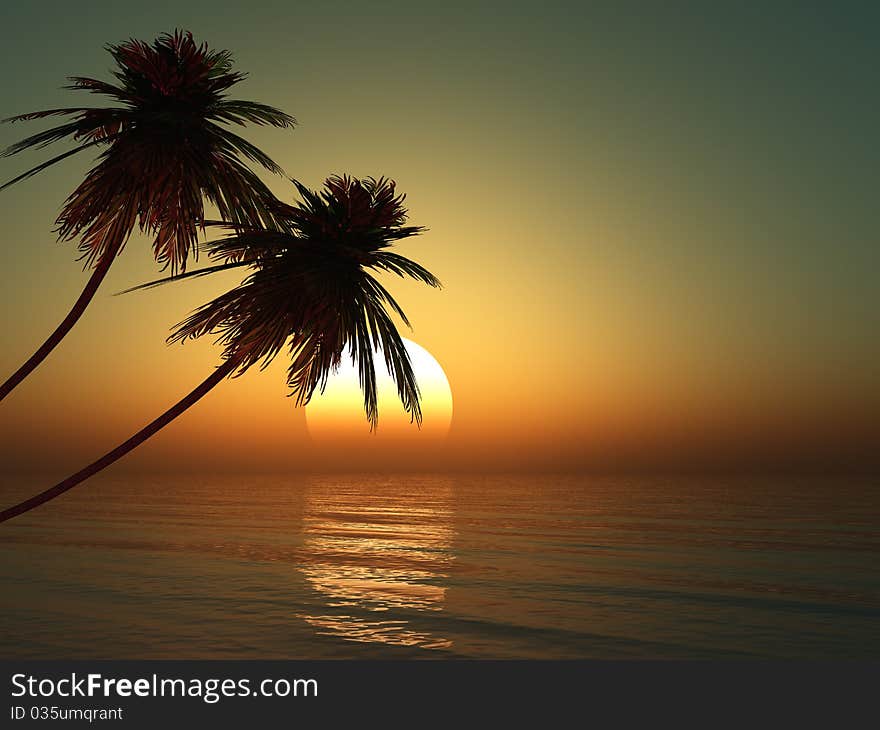 Dead tree at sunset beach