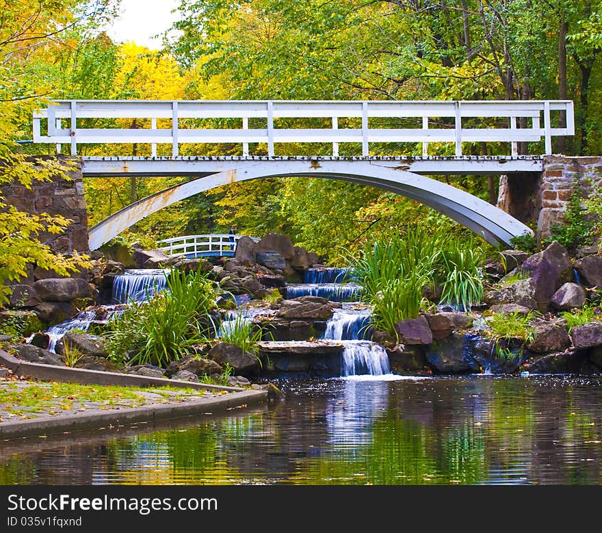 Water Stream in a forest