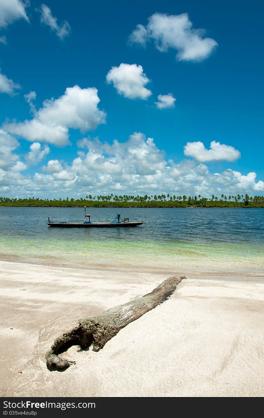 Old Coconut Trunk And Raft