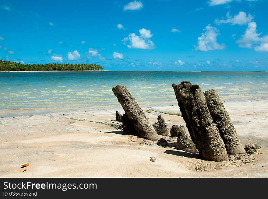 Barrier of old trunks in Pernambuco