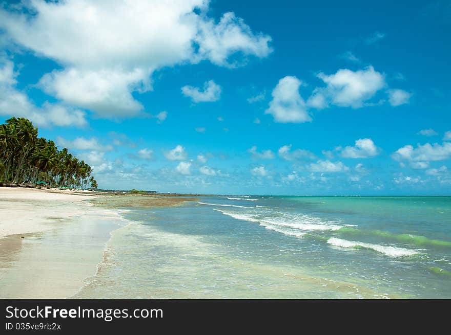 A paradise on earth called Carneiros beach. A paradise on earth called Carneiros beach