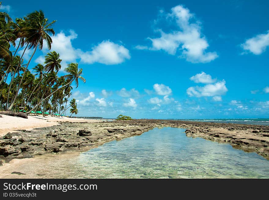 A paradise on earth called Carneiros beach. A paradise on earth called Carneiros beach