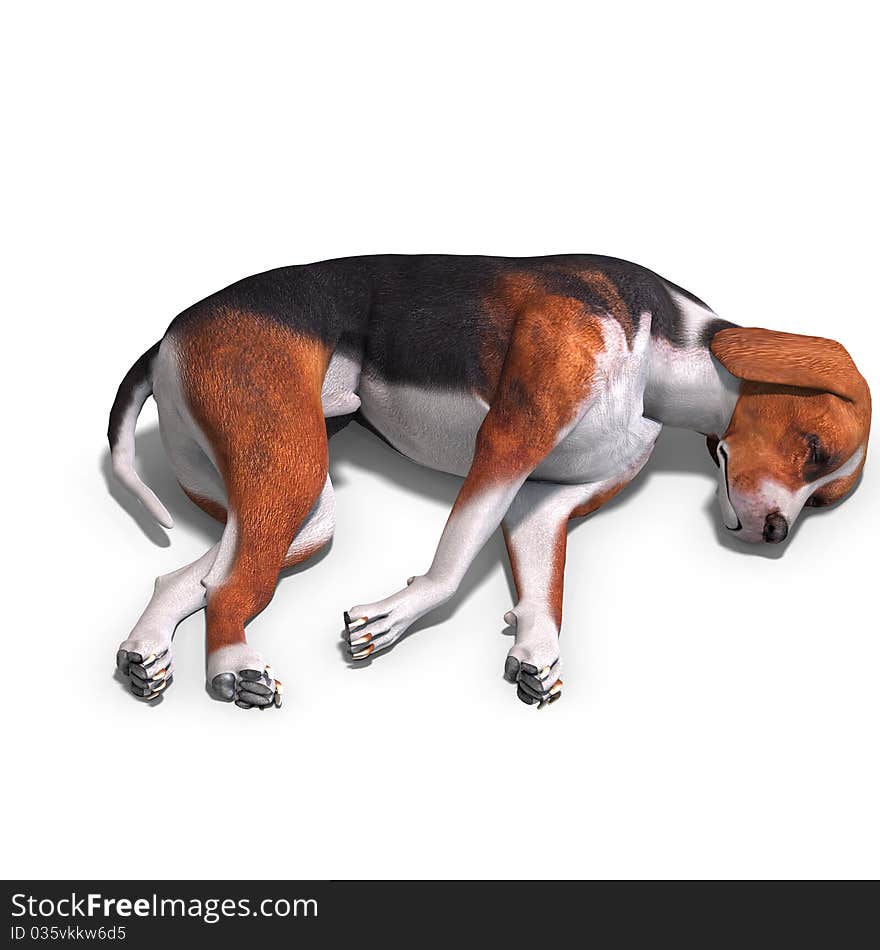 Austrian Black Dog. 3D rendering with clipping path and shadow over white