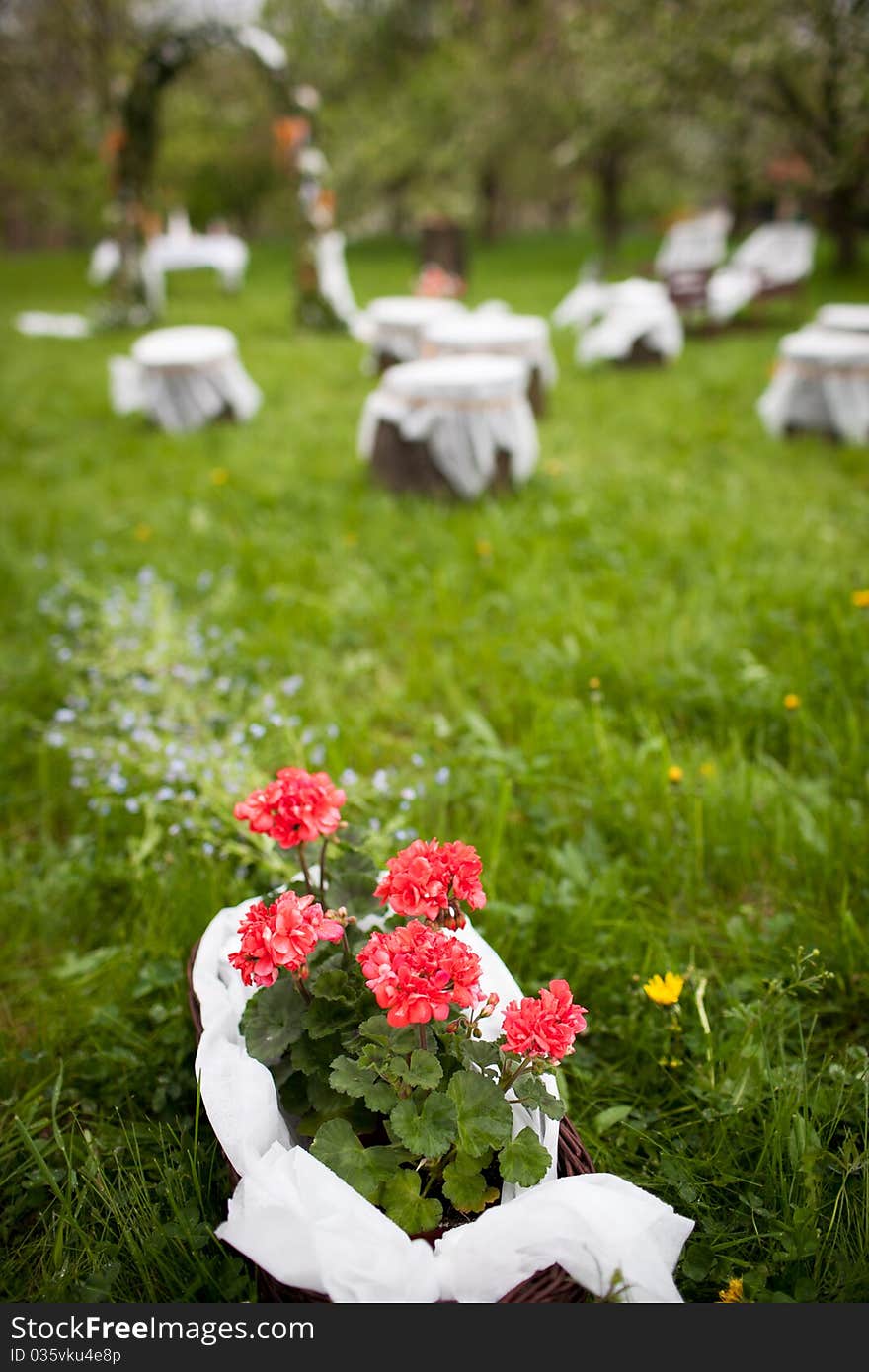 Splendid wedding venue - blossoming orchard on the 1st of May