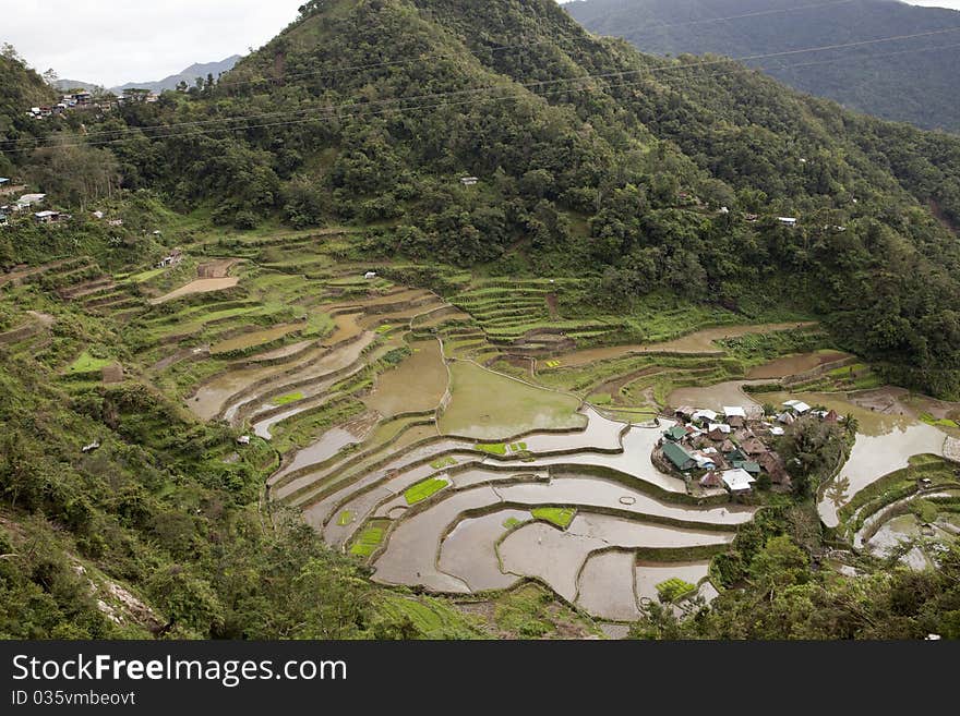 Overlooking the famous rice Terraces in Bataad North Luzon Philippines. Overlooking the famous rice Terraces in Bataad North Luzon Philippines