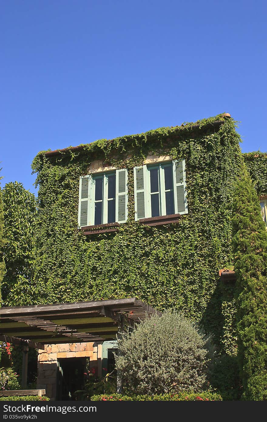 A House And The Vine