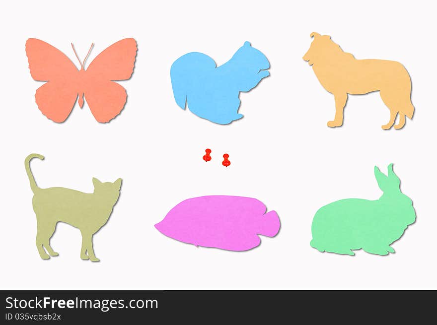 Animals Colored Notes