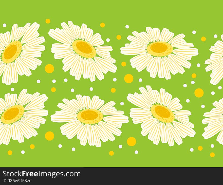 Seamless floral green border with white daisy. Seamless floral green border with white daisy