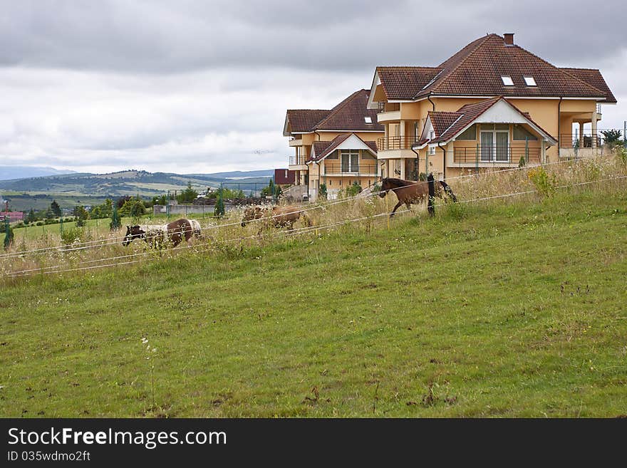 Mountain farm landscape with pony running in front yard.