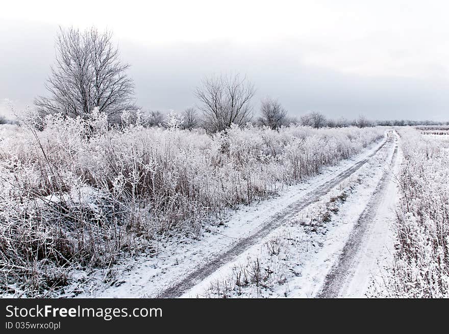 Snowy road is situated among the gardens. Snowy road is situated among the gardens