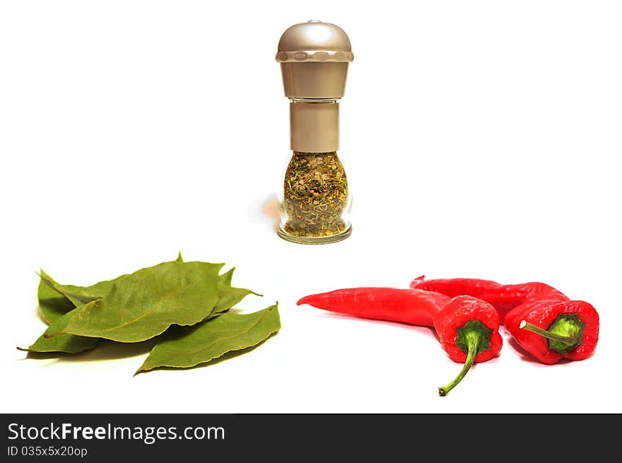 Photo of the spices on white background