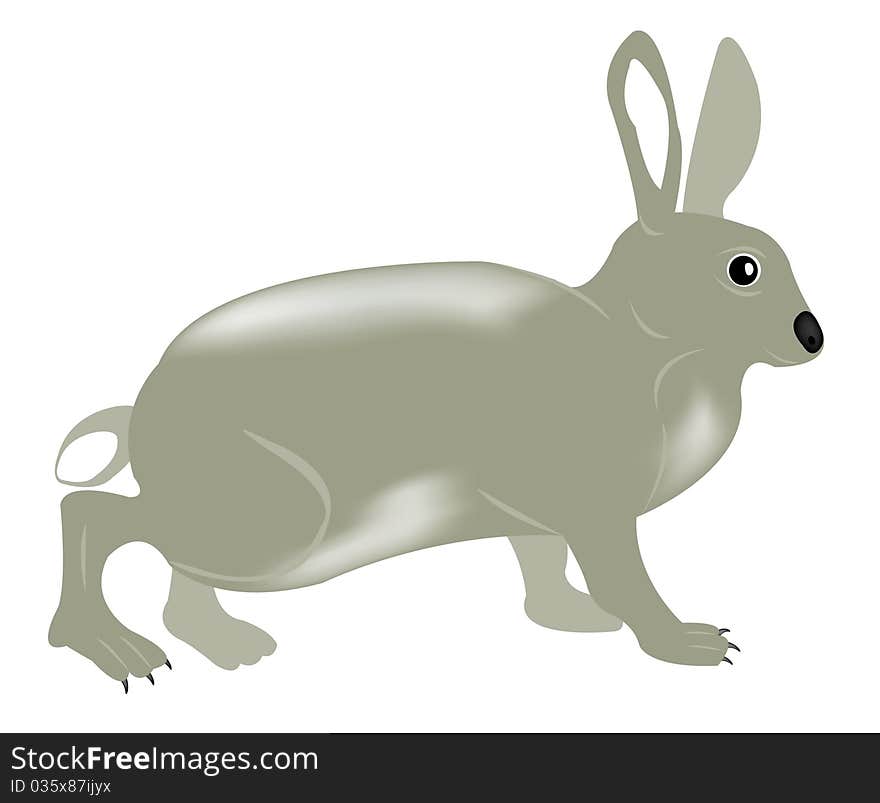 Gray rabbit on white background