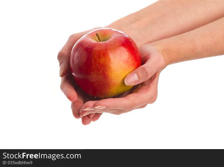 Apple In Hands