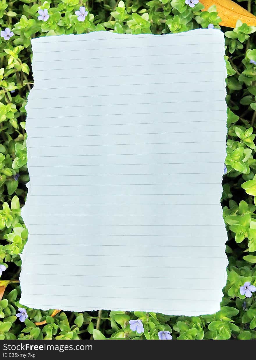 Blank note paper