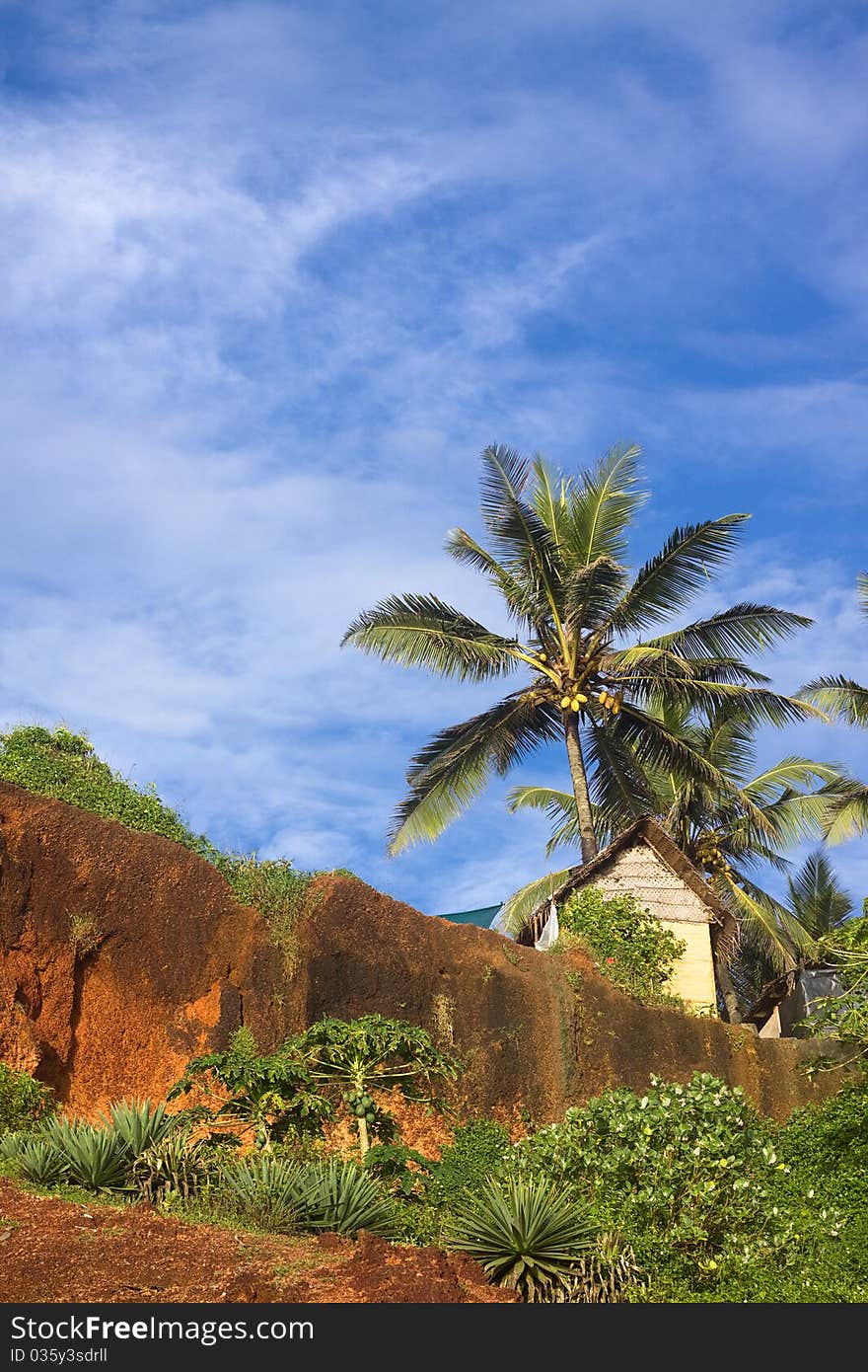 Tropical Hut on a Clifftop in Varkala, Kerala, India