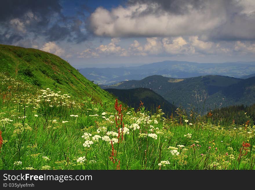 Mount Feldberg in Germany, 2009