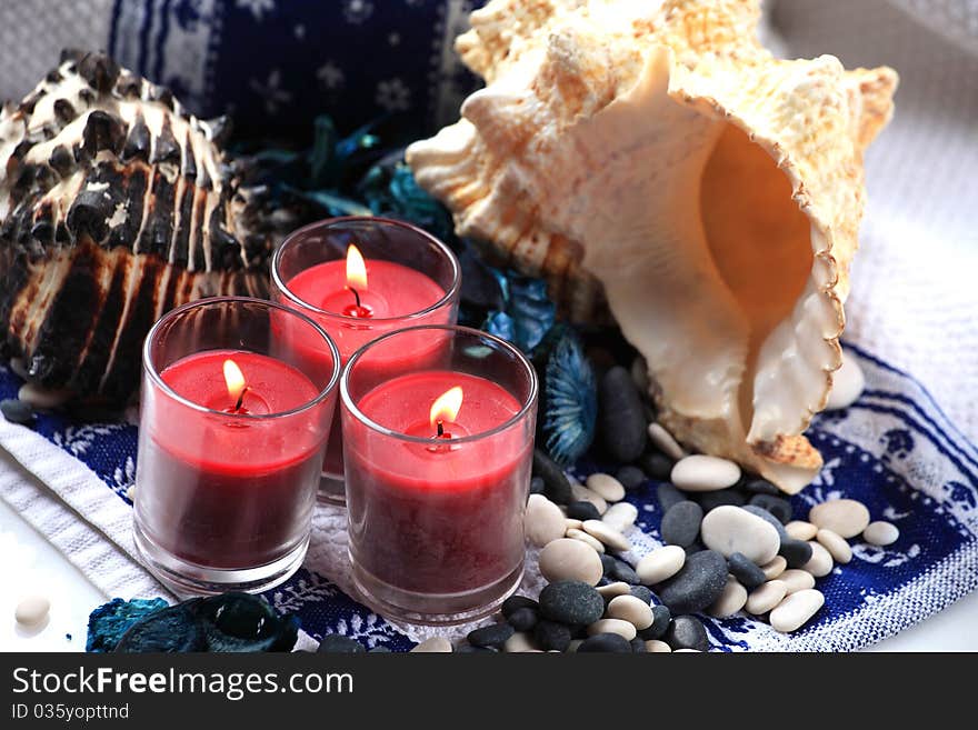 Candles And Shells