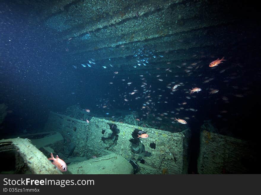 Bedford trucks cargo of the SS Thistlegorm.